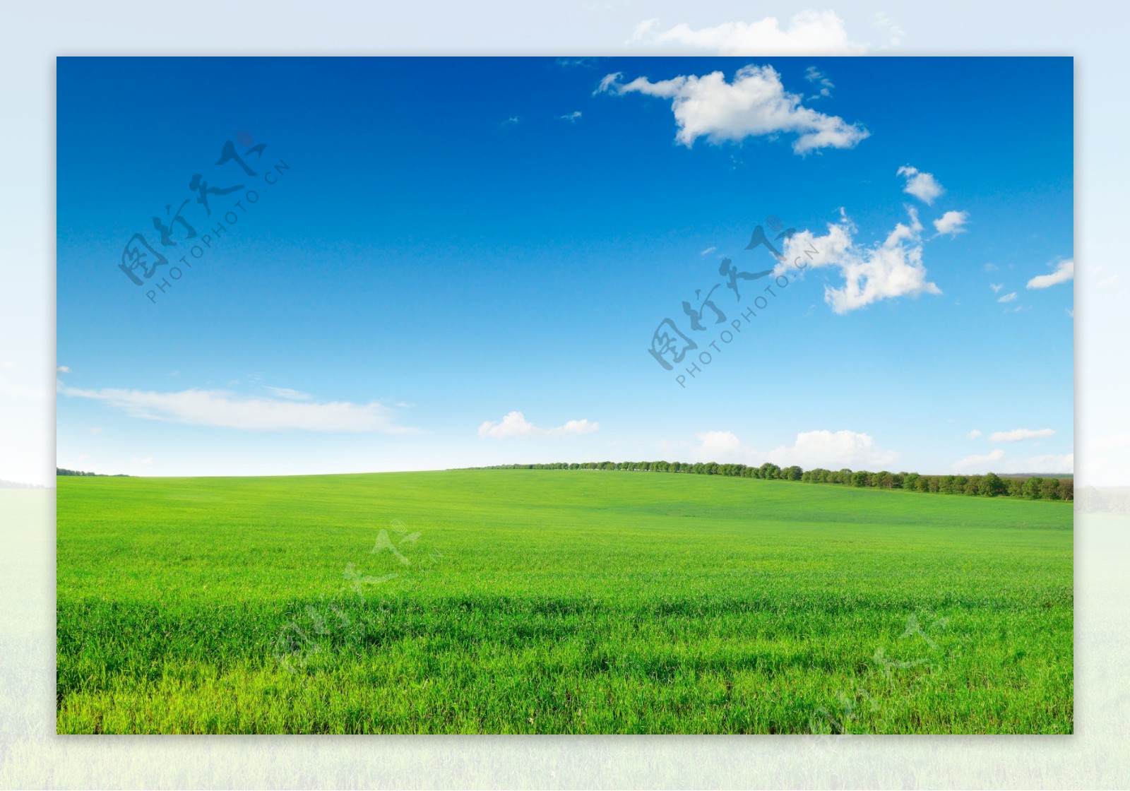 蓝色草地和天空高清摄影