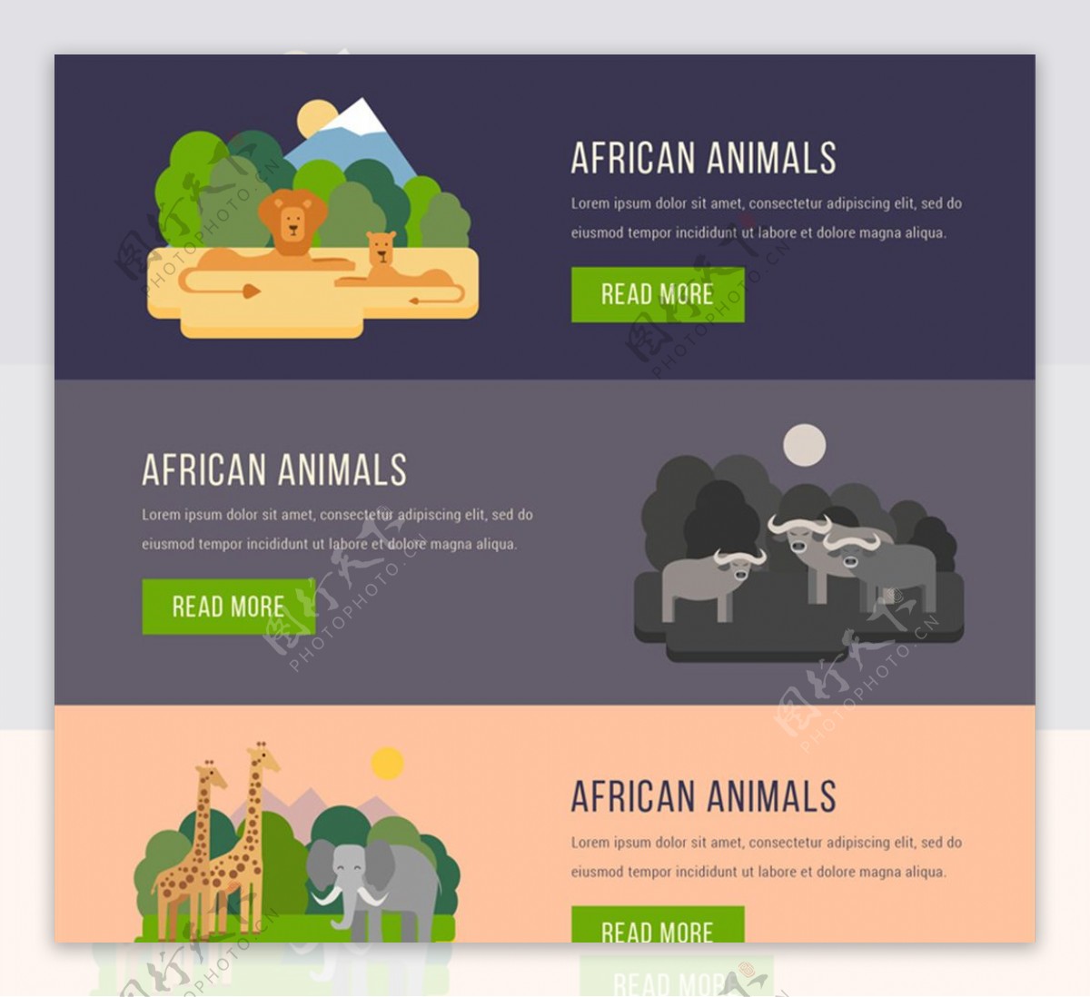 3款创意非洲动物banner