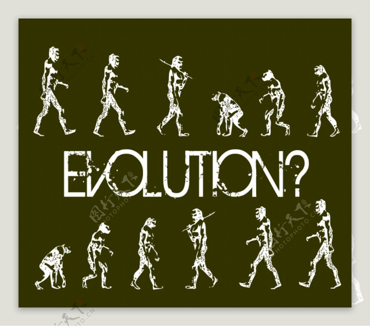 人类进化
