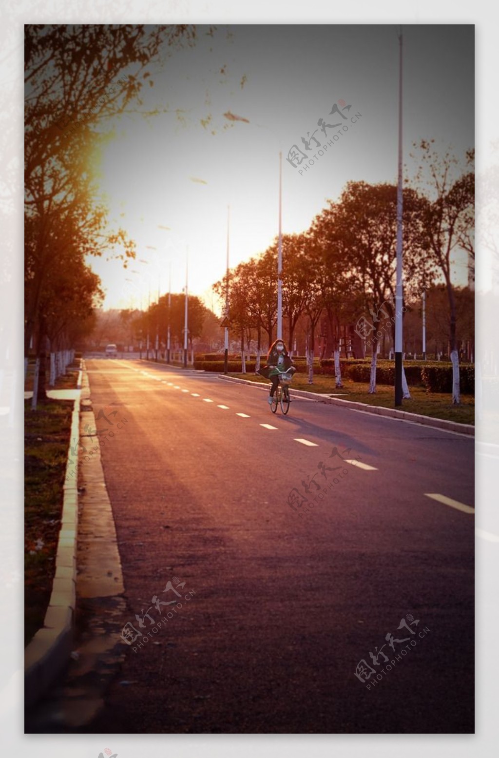 夕阳道路