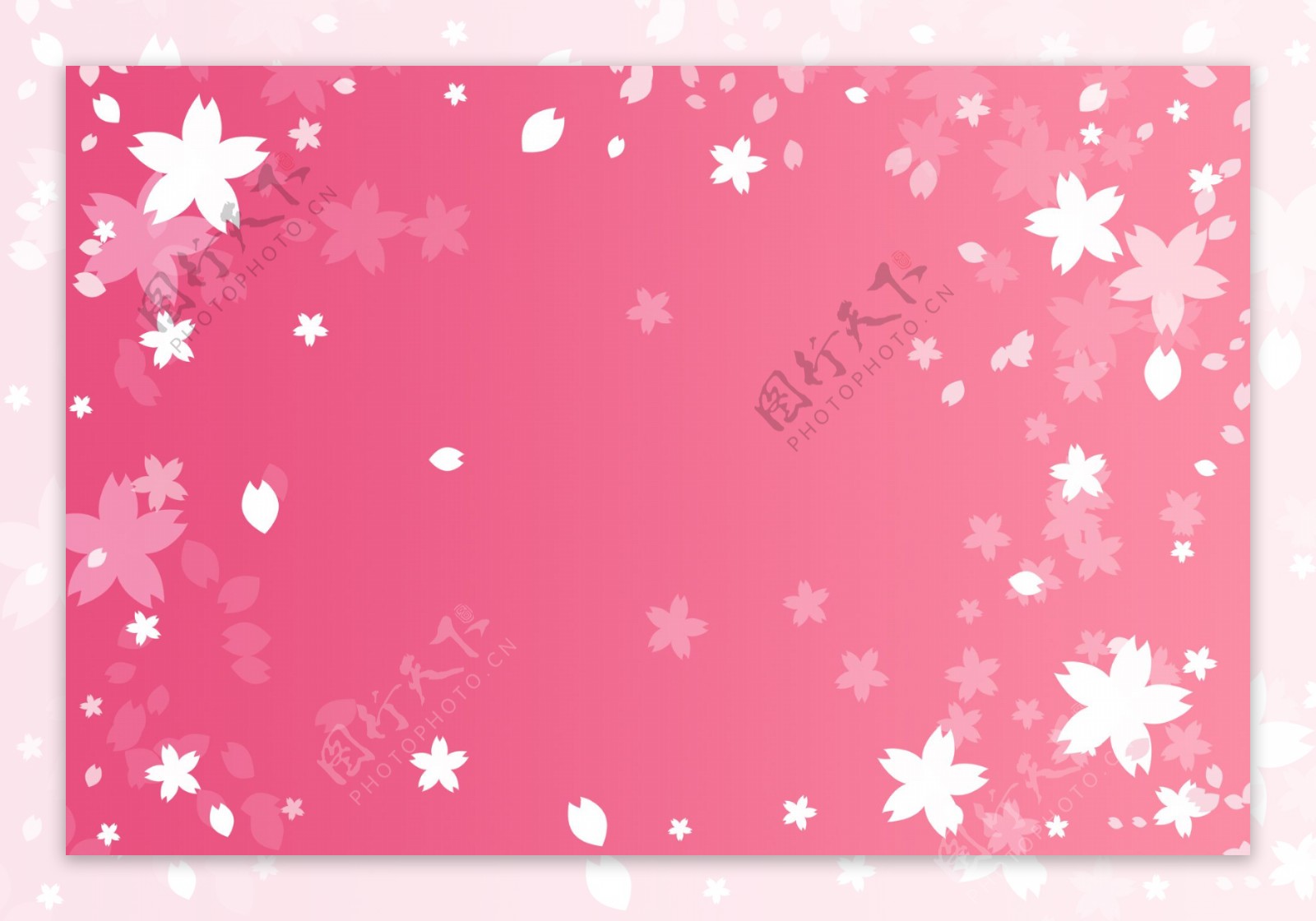 粉色樱花背景图