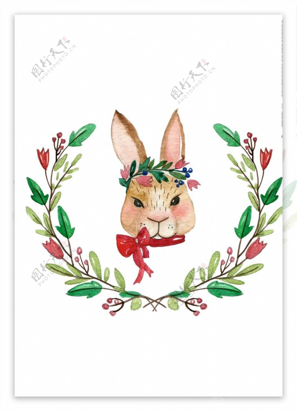 兔子花朵花卉图案下载