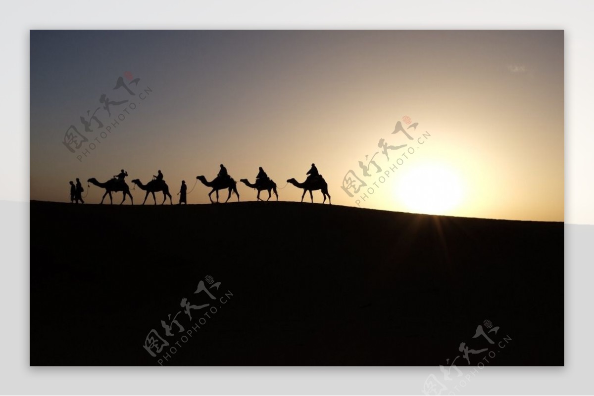 沙漠行进的骆驼队
