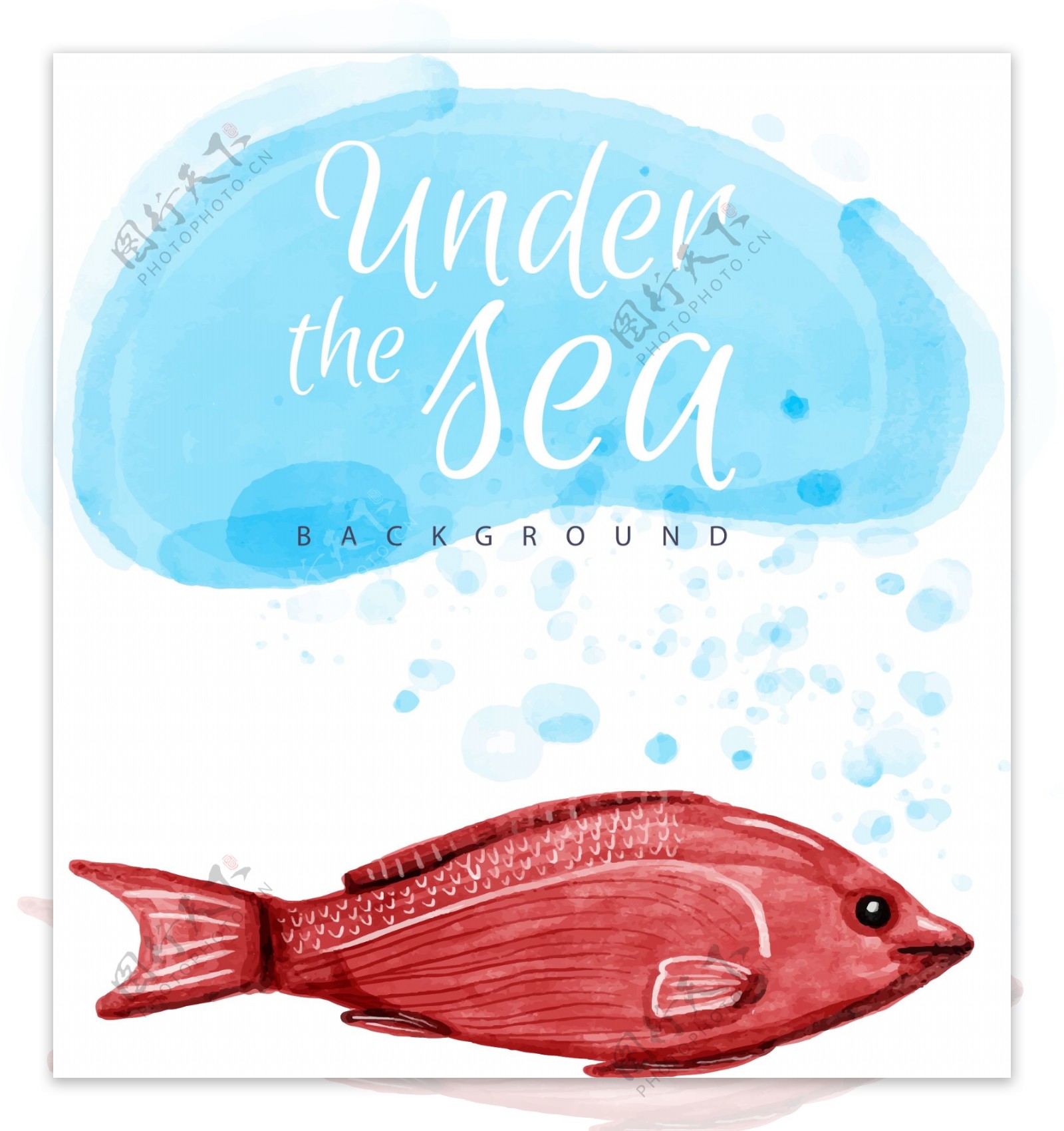 水彩夏季红鱼插图