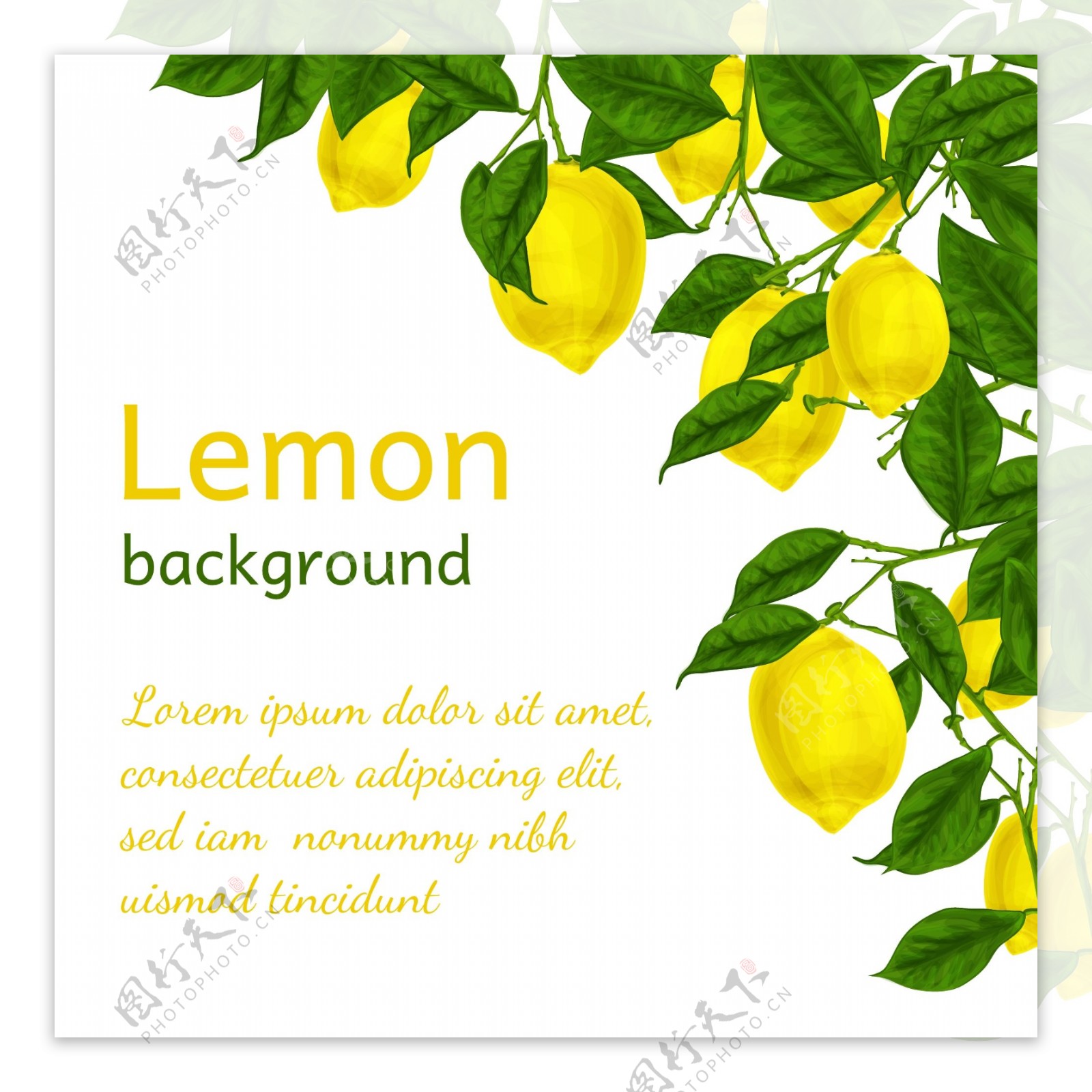 水彩柠檬背景