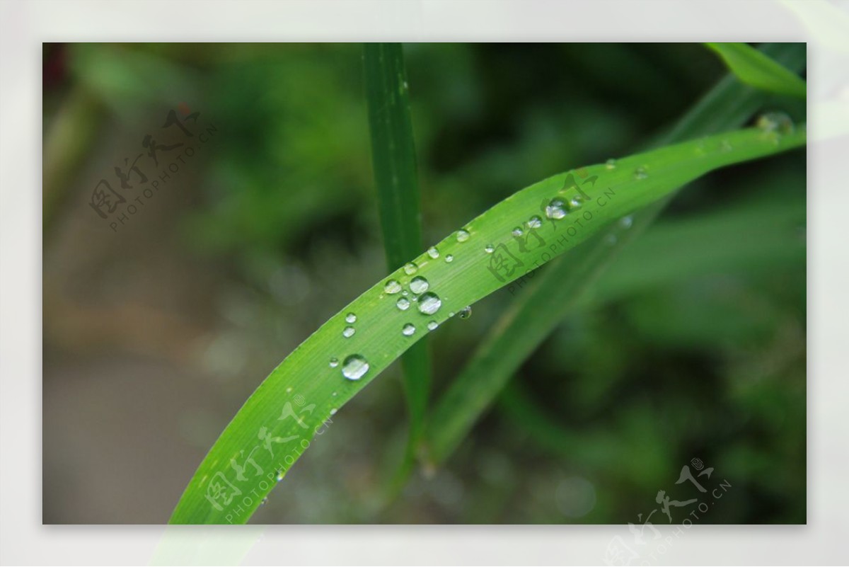 小雨滴