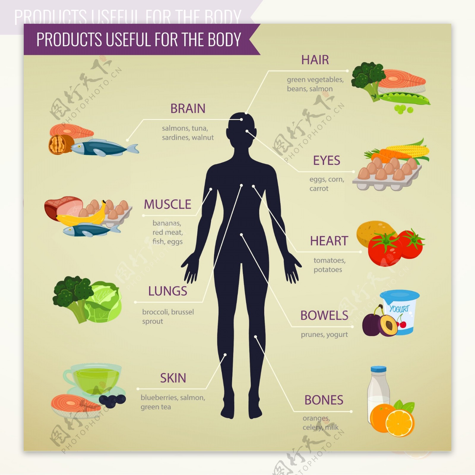 健康饮食分析图表