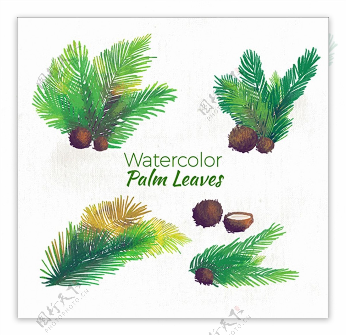手绘水彩棕榈树和椰子