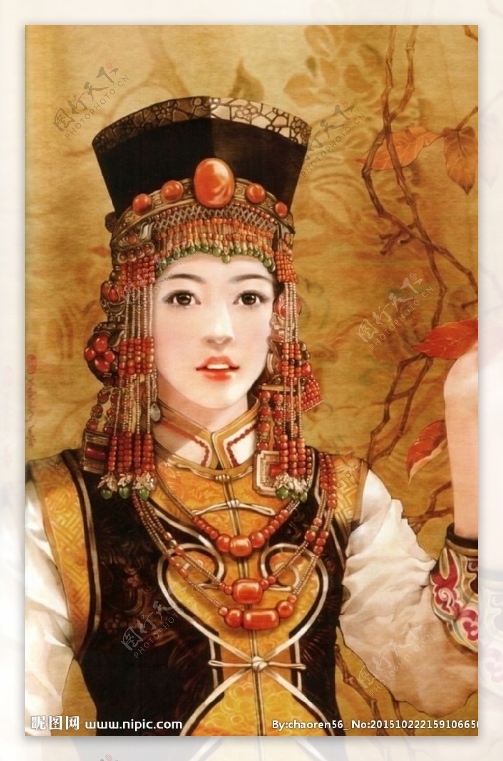 中华56个民族民族文化