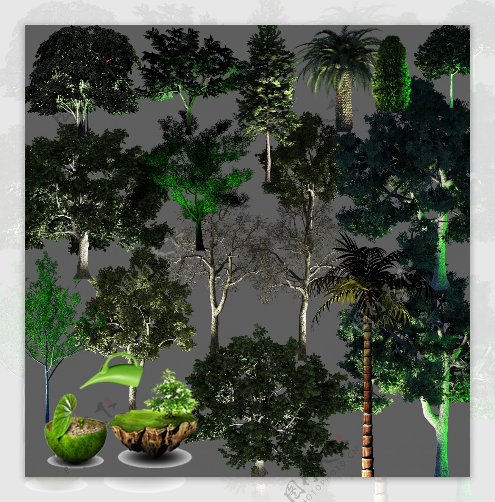 夜景树植物园林素材