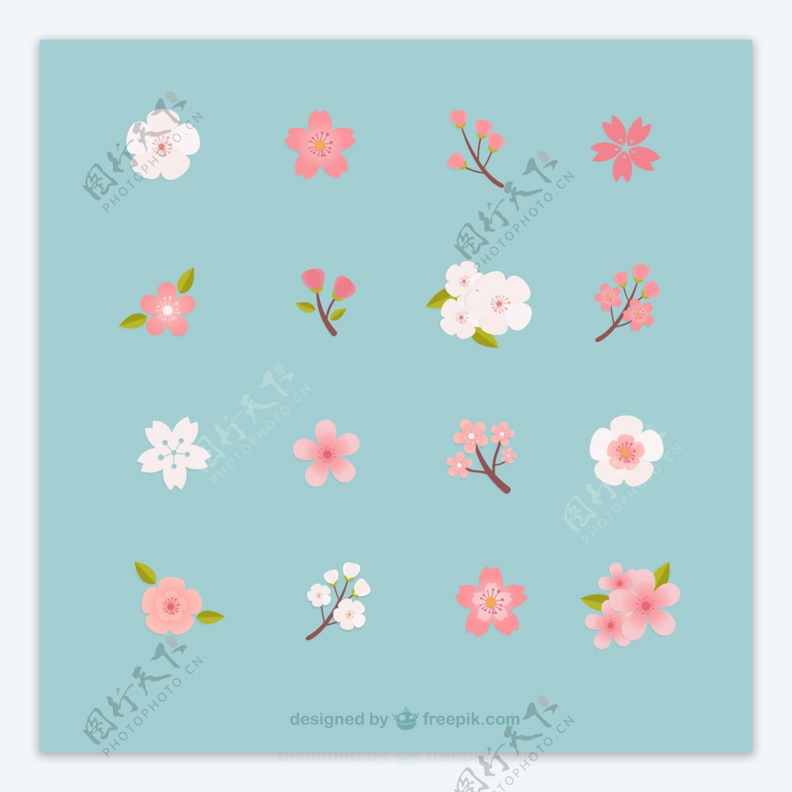 16种樱花图案