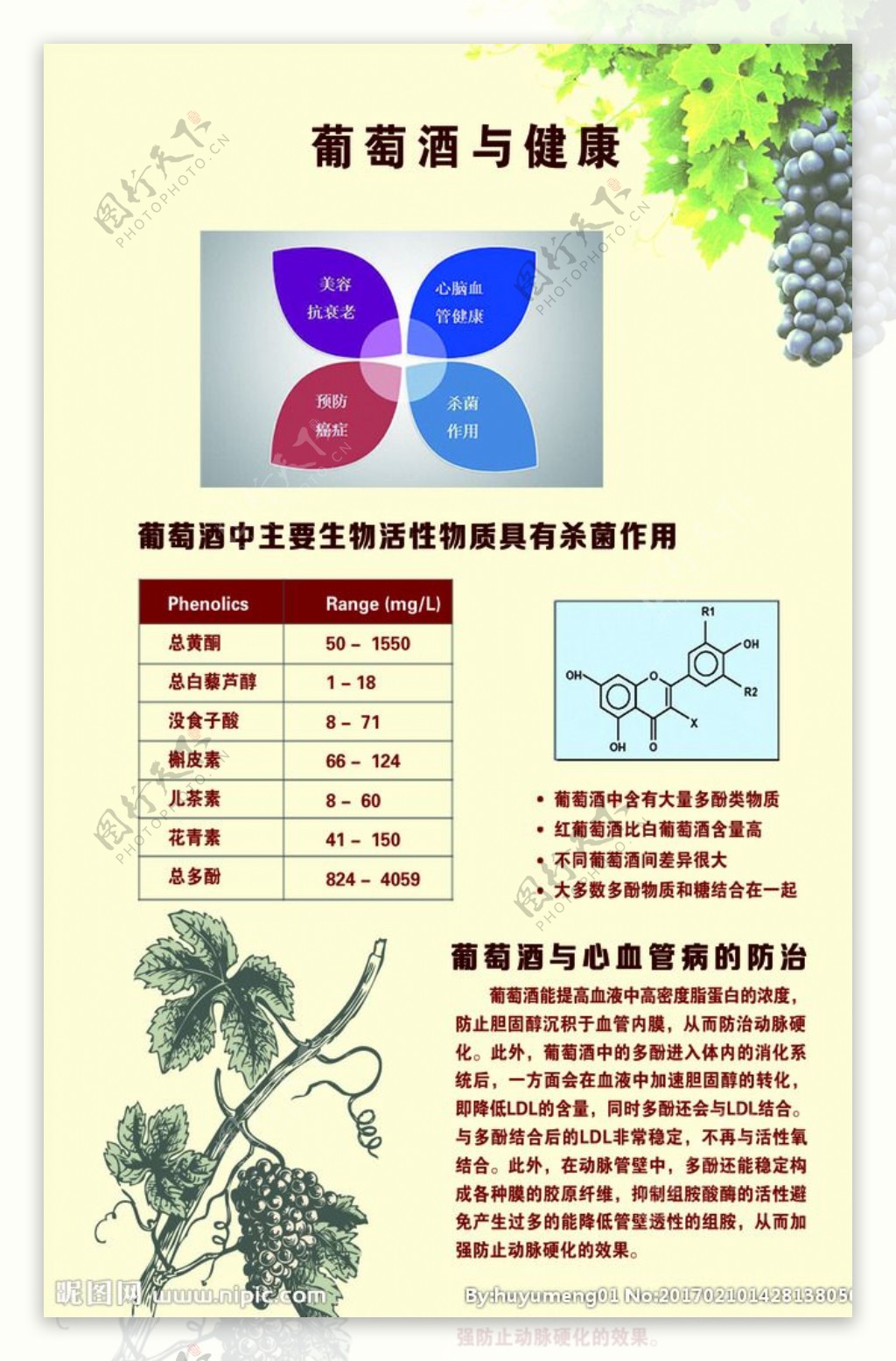 葡萄酒与健康