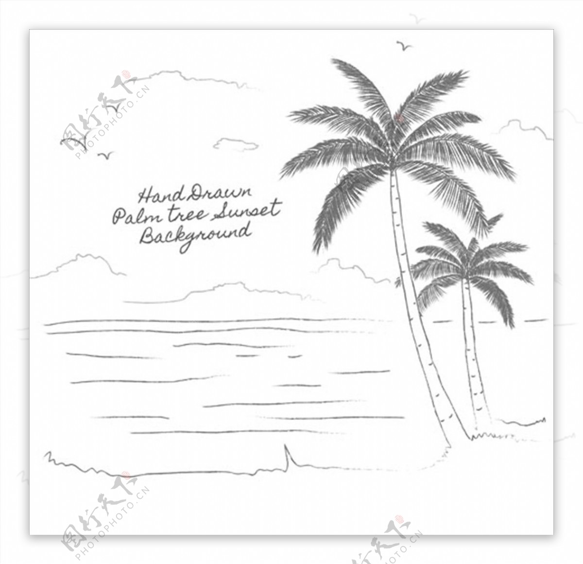 手绘素描棕榈树背景