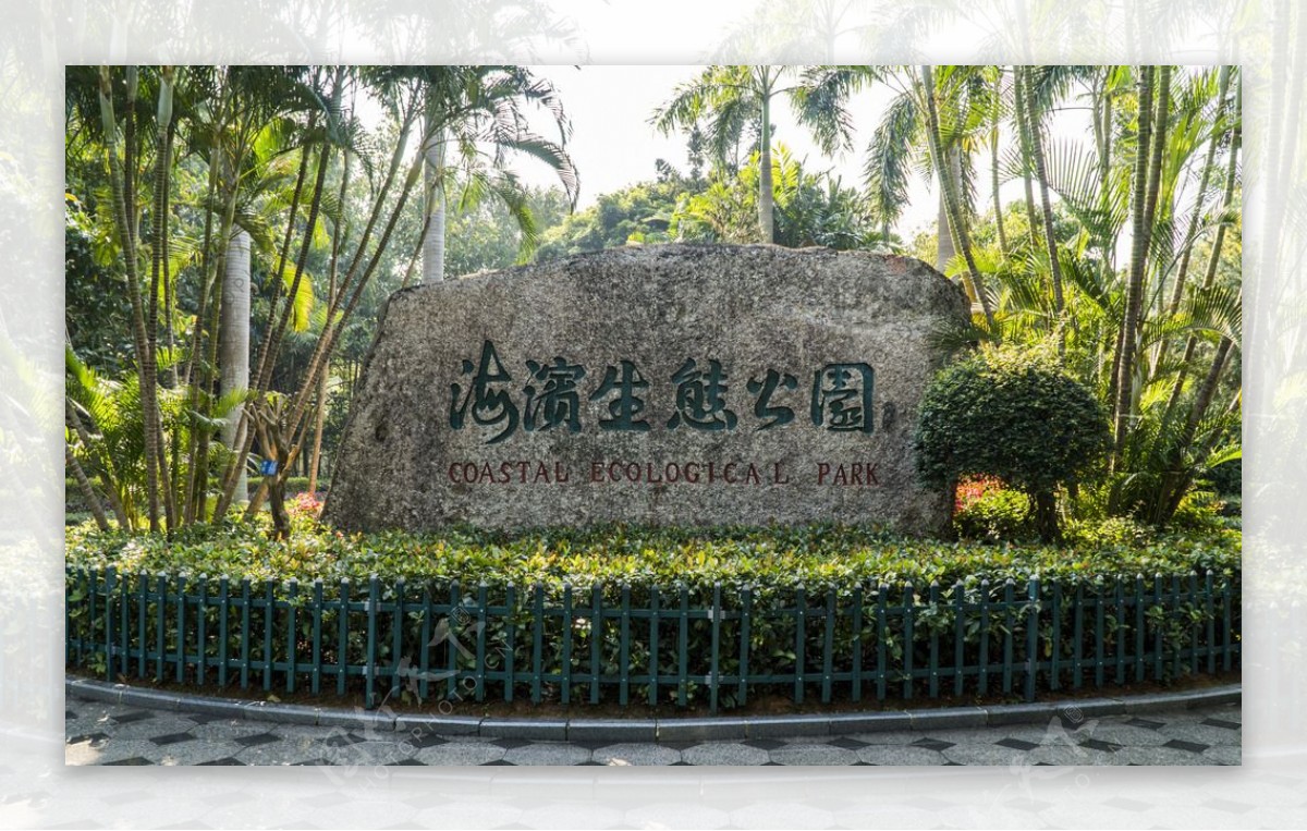 深圳红树林生态公园碑石