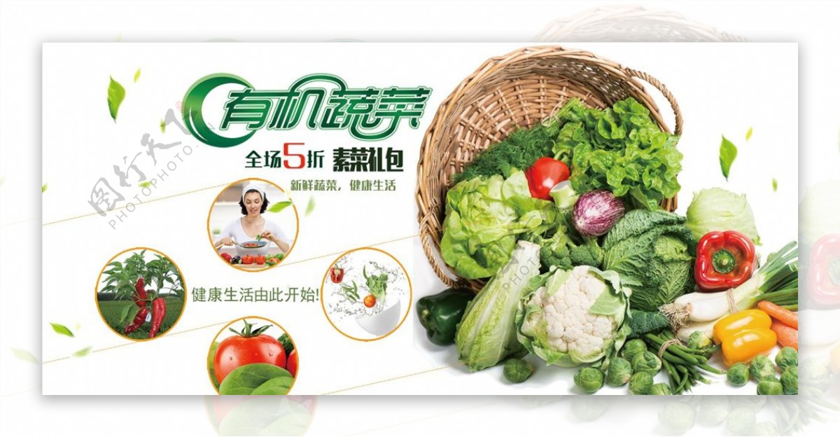 有机蔬菜促销海报设计