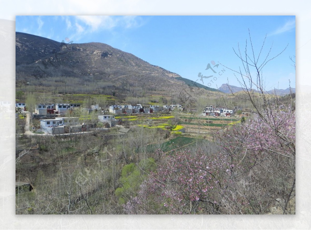 山村春景