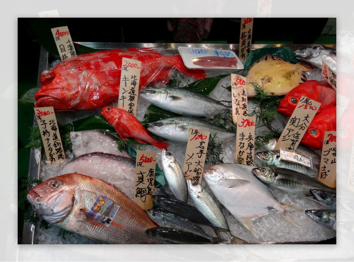 世界最大鱼市场