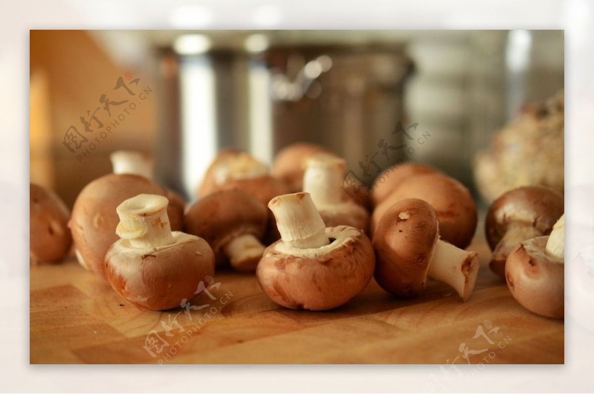 食材干榛蘑蘑菇高清摄影大图-千库网