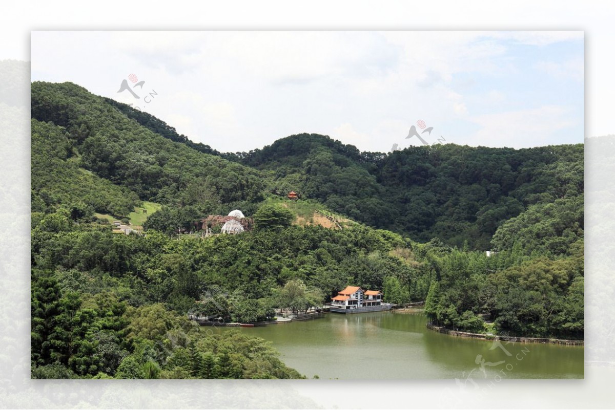 深圳仙湖植物园