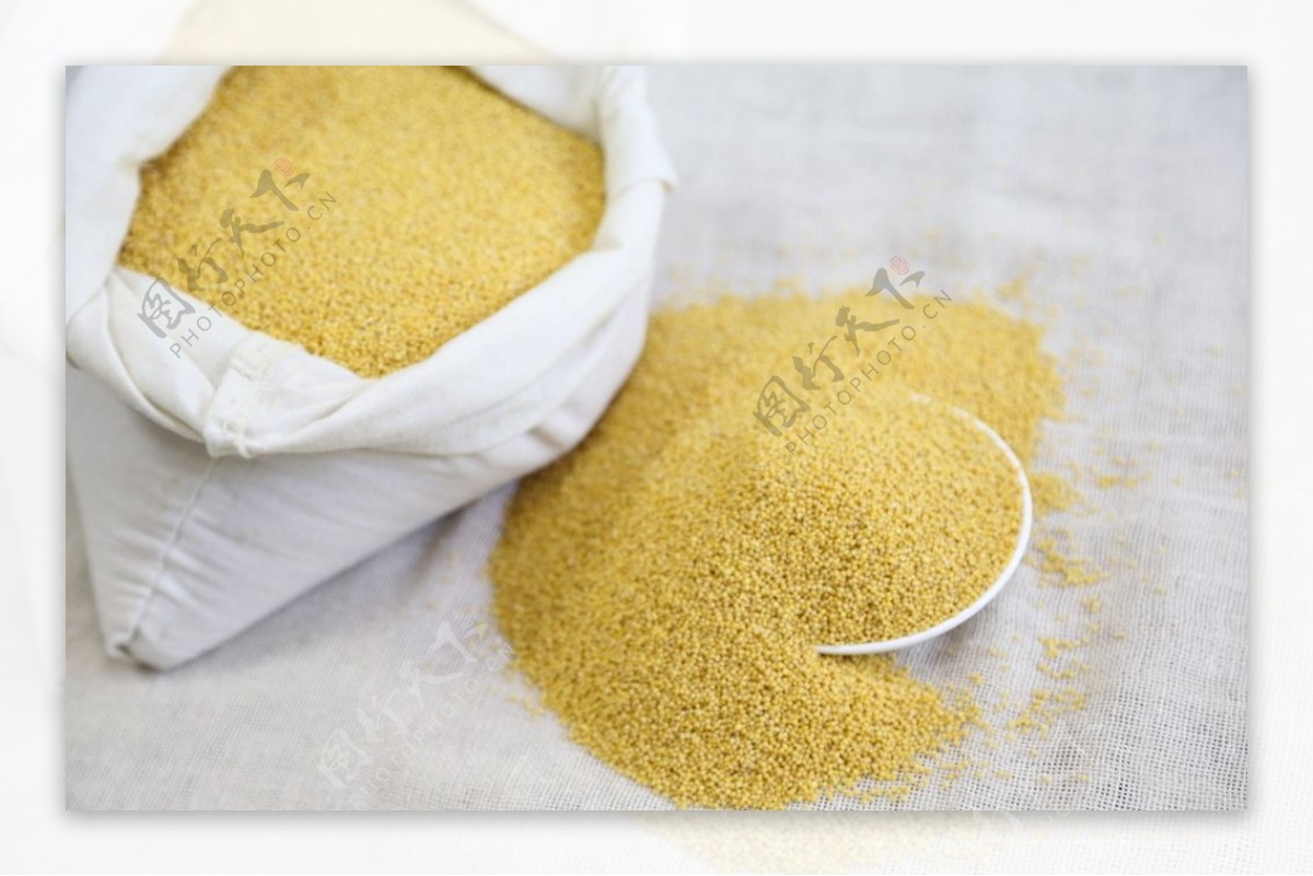 小米粥的做法和功效是什么（黄米和小米有啥区别？别不懂吃，分享3种小米粥做法功效，暖身又暖胃） | 说明书网