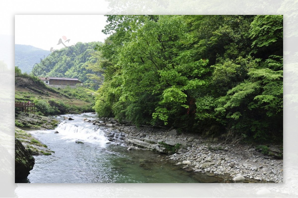 黎坪风景