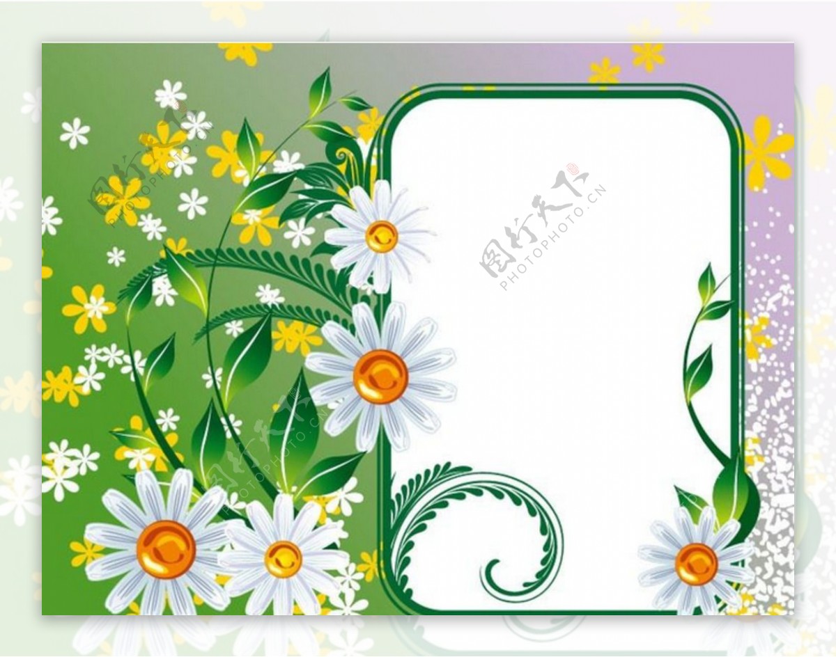 绿色边框和菊花花纹