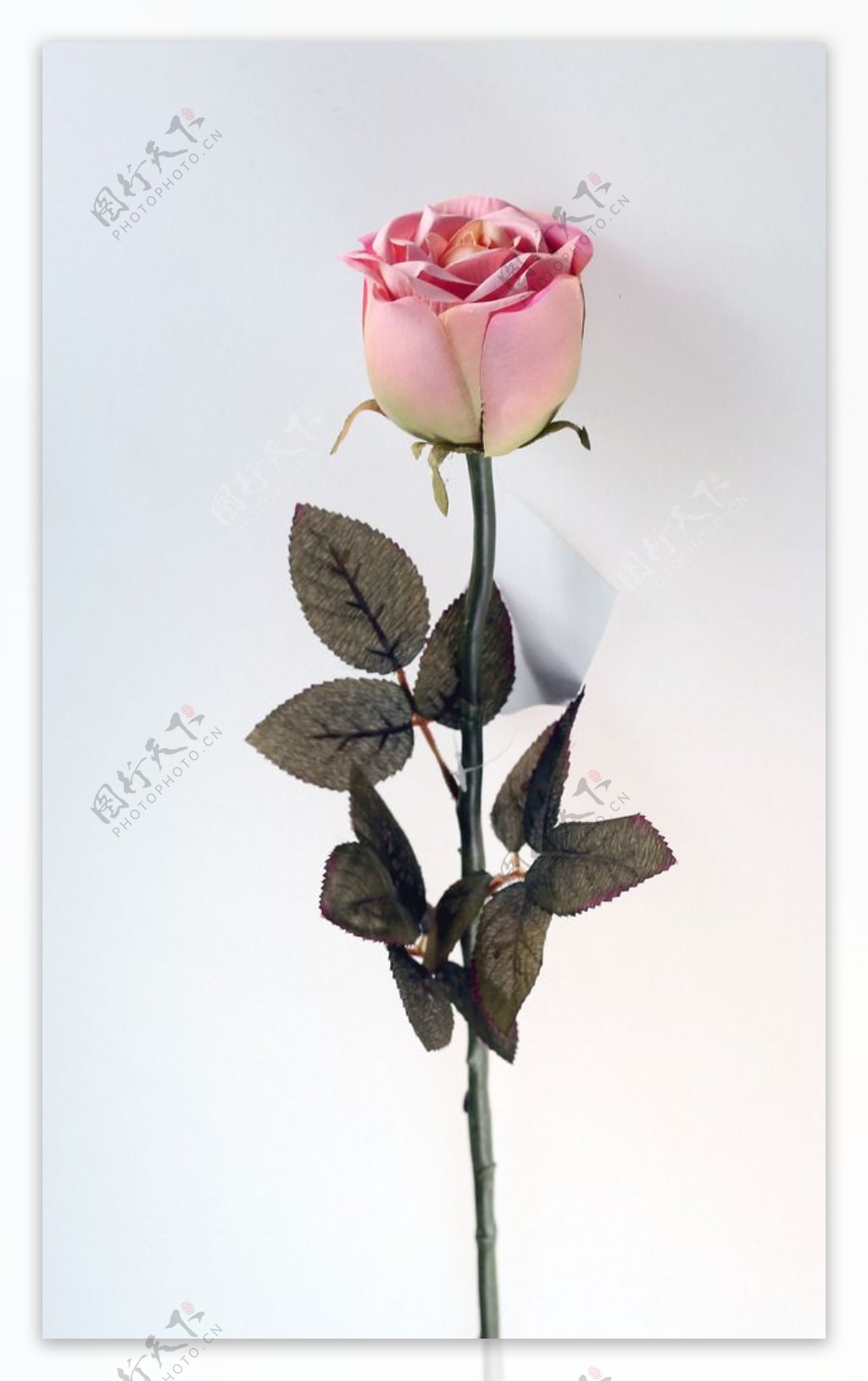 粉红玫瑰塑胶花枝