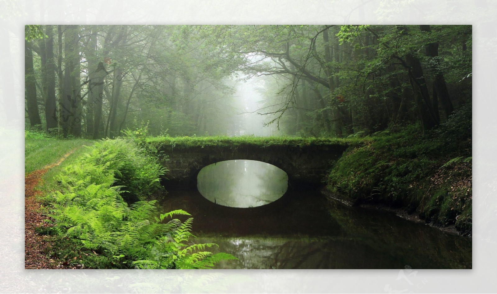 晨雾森林石桥
