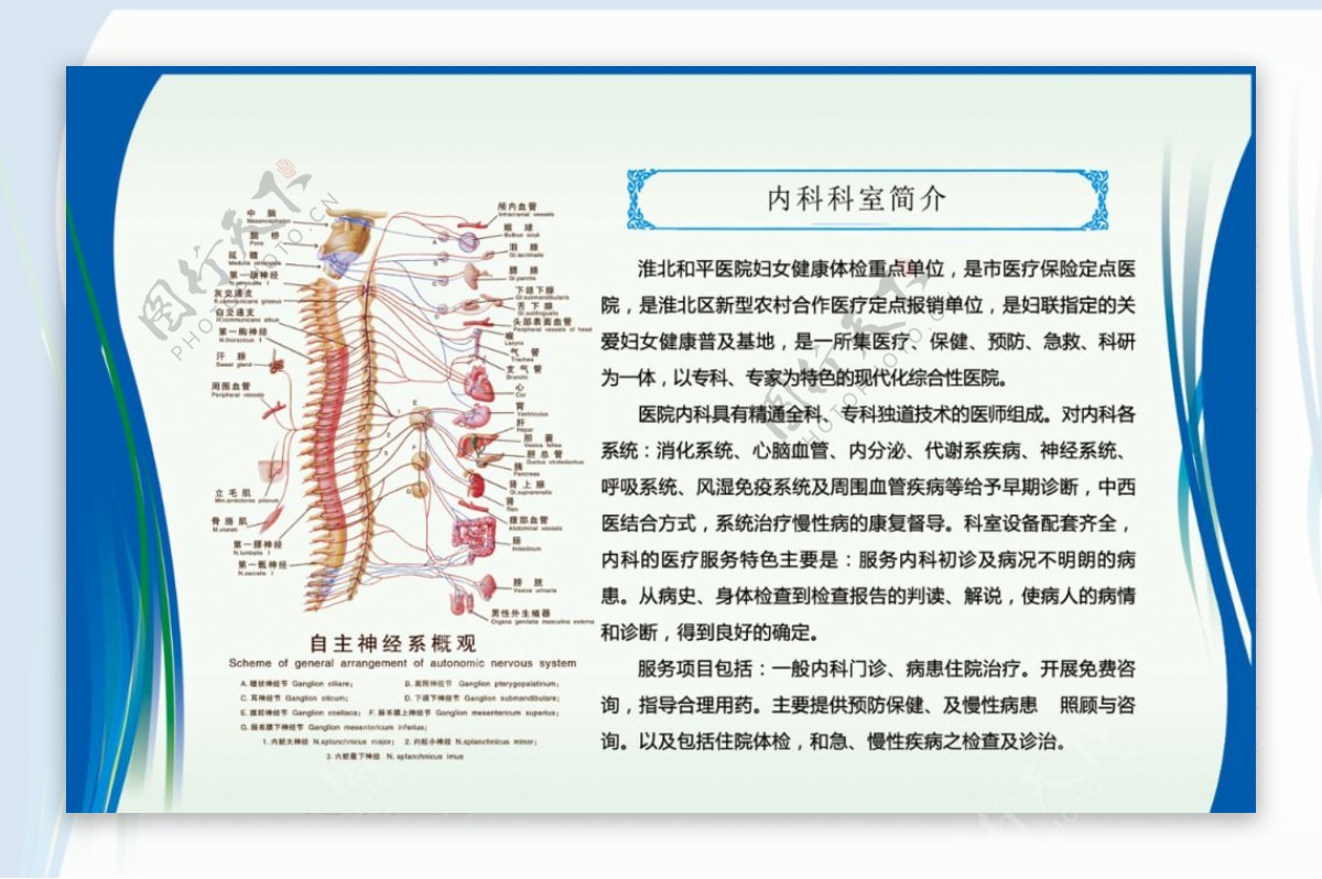 神经科展板