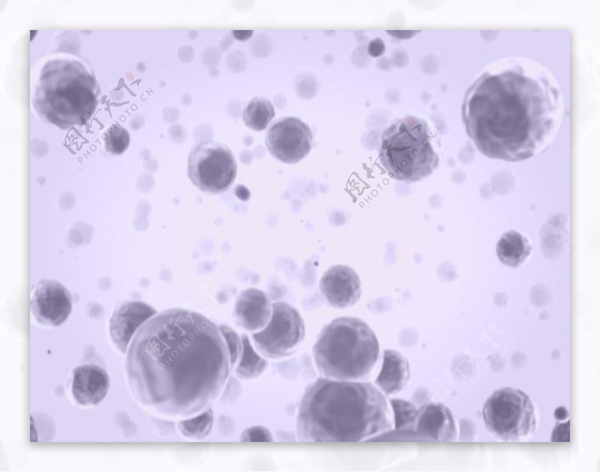 生物医学动态视频