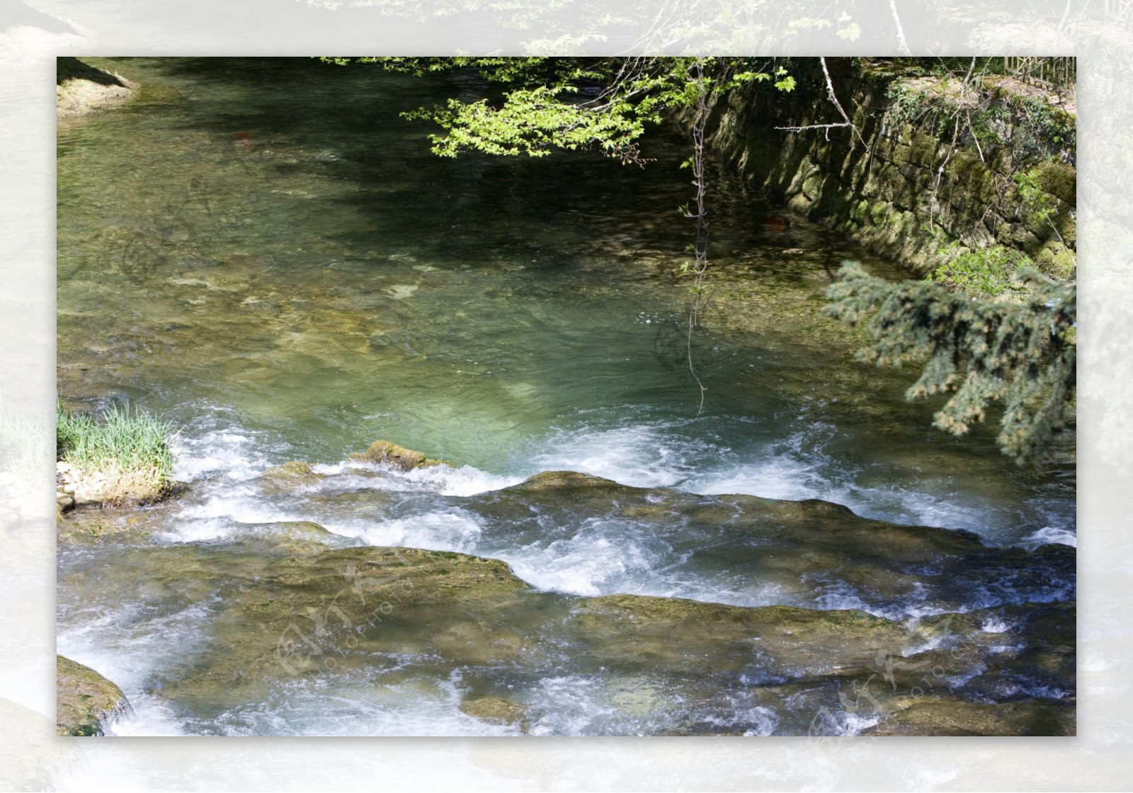 林中清澈溪水图片