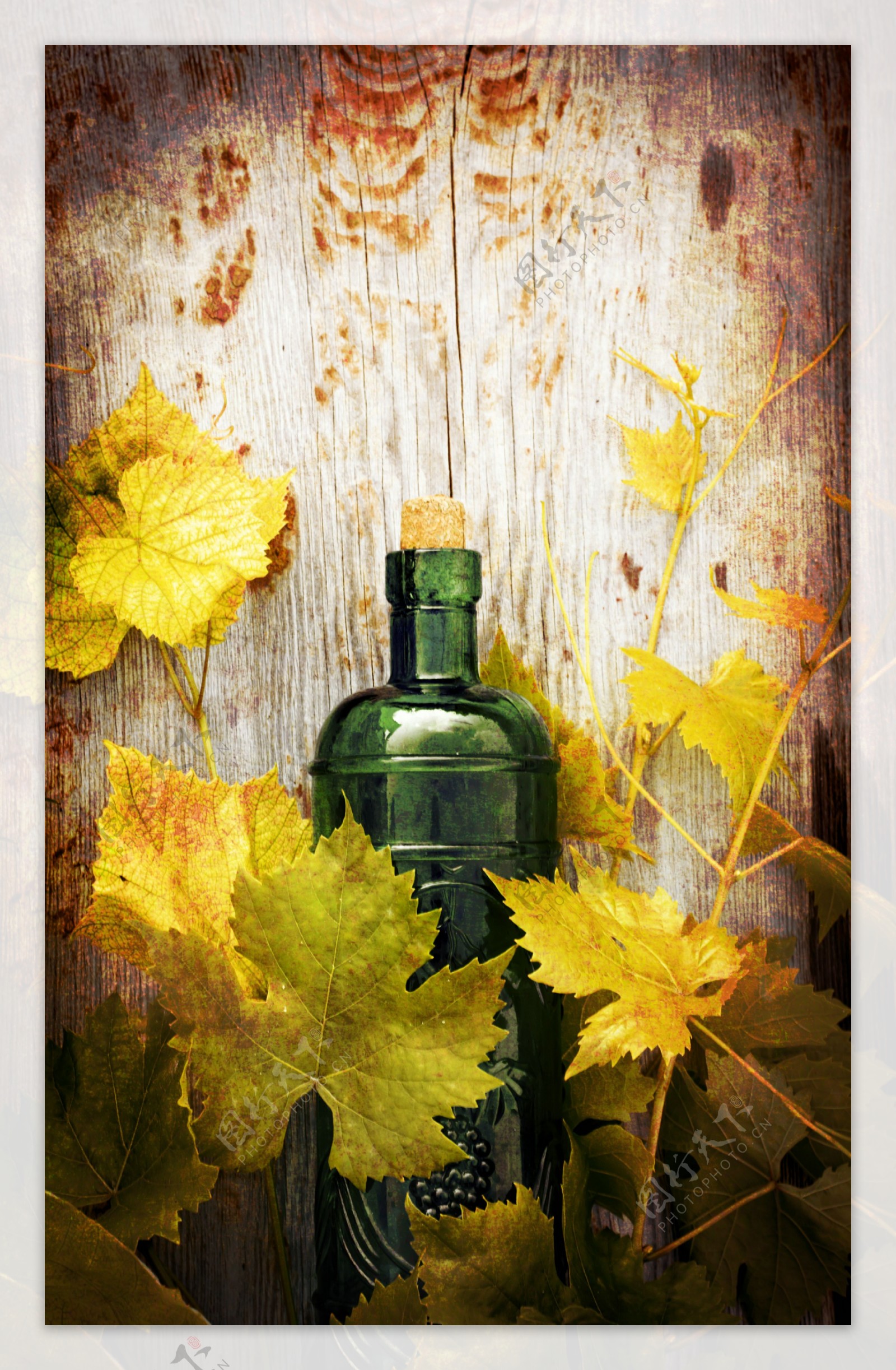 葡萄酒与木板背景图片