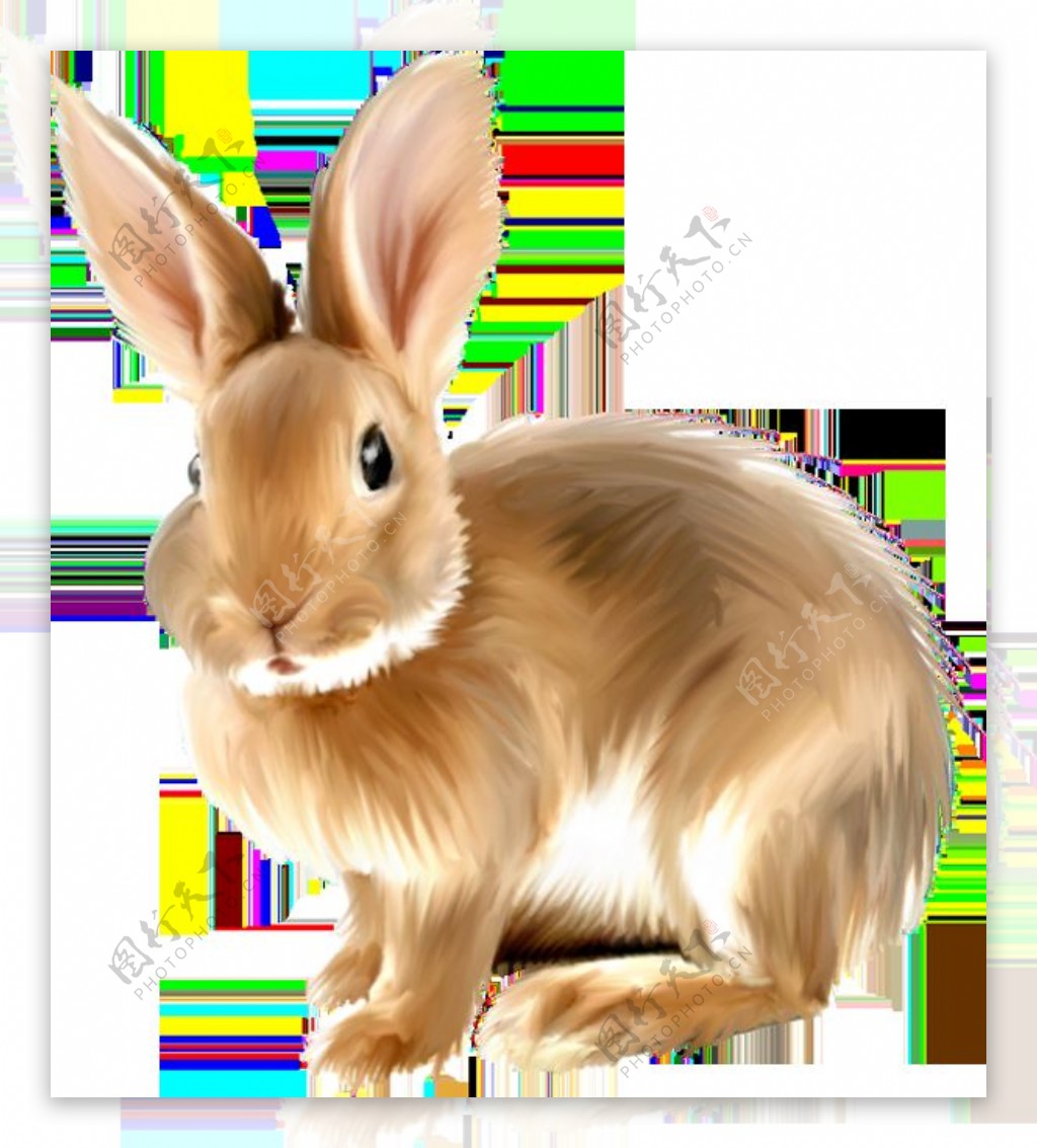 棕色毛发兔子免抠png透明图层素材