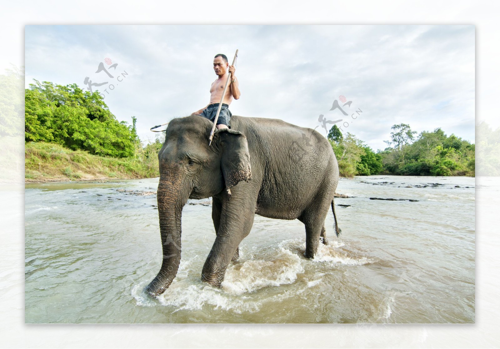 水里骑大象的男人图片