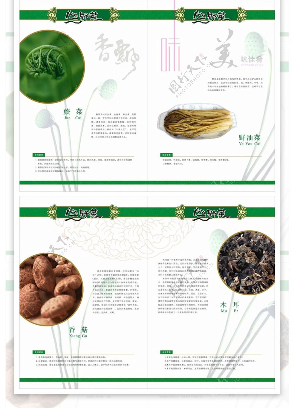 CDR豆干产品宣传画册素材下载