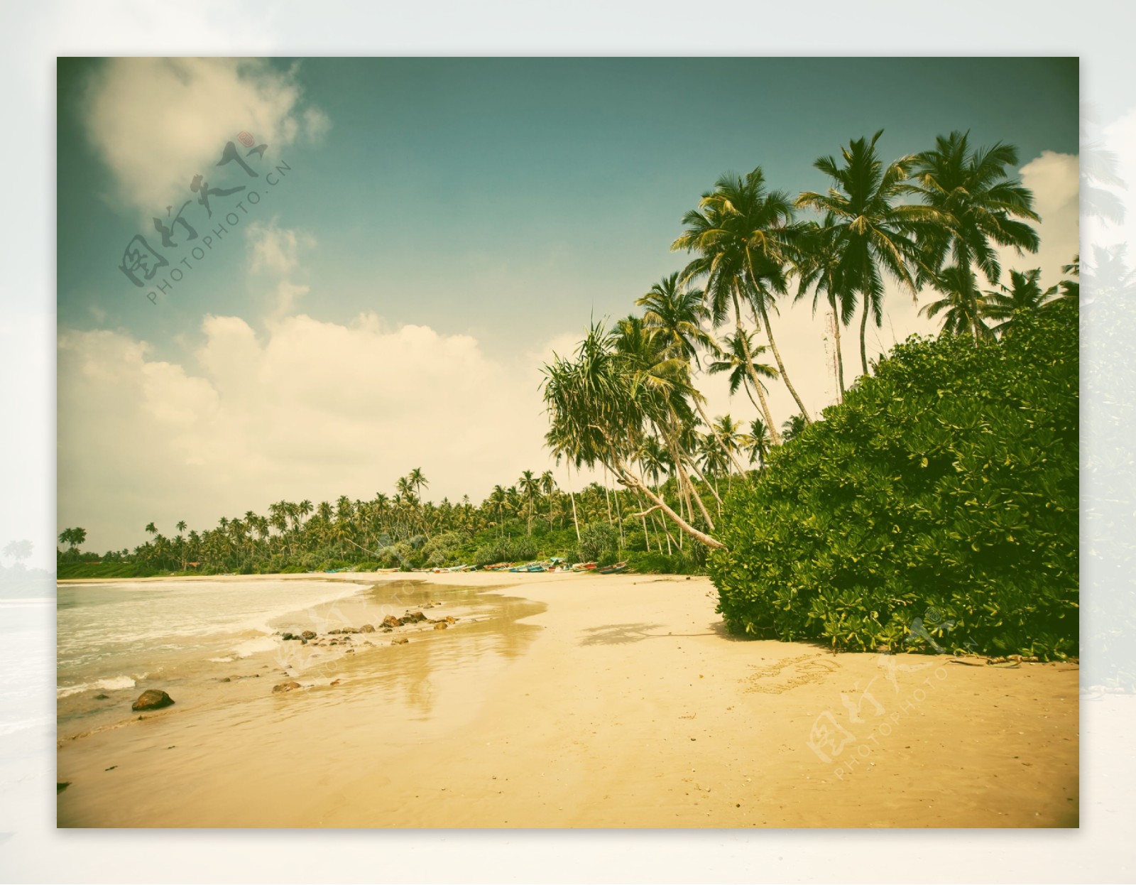 沙滩椰树风景图片