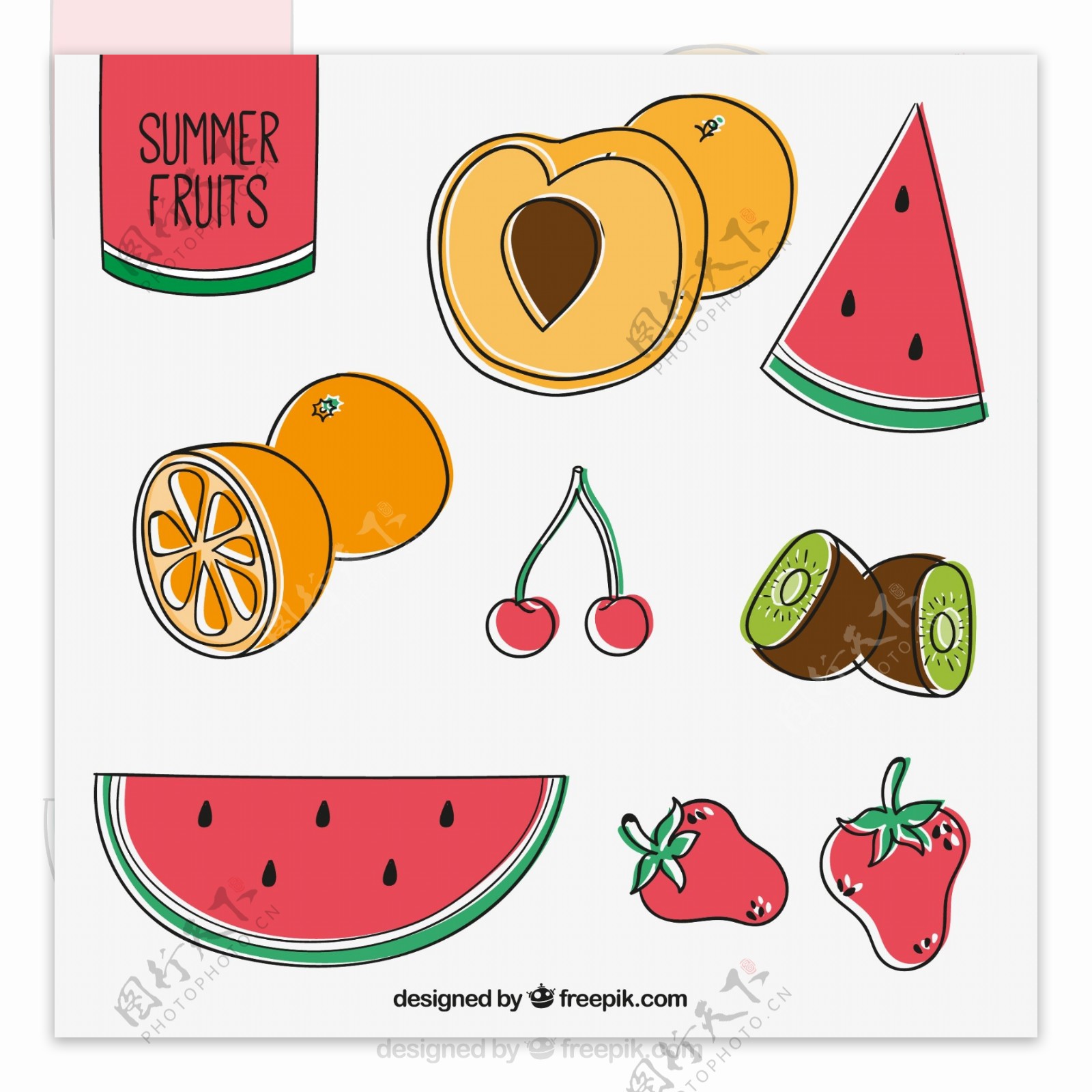 7款彩绘夏季水果矢量