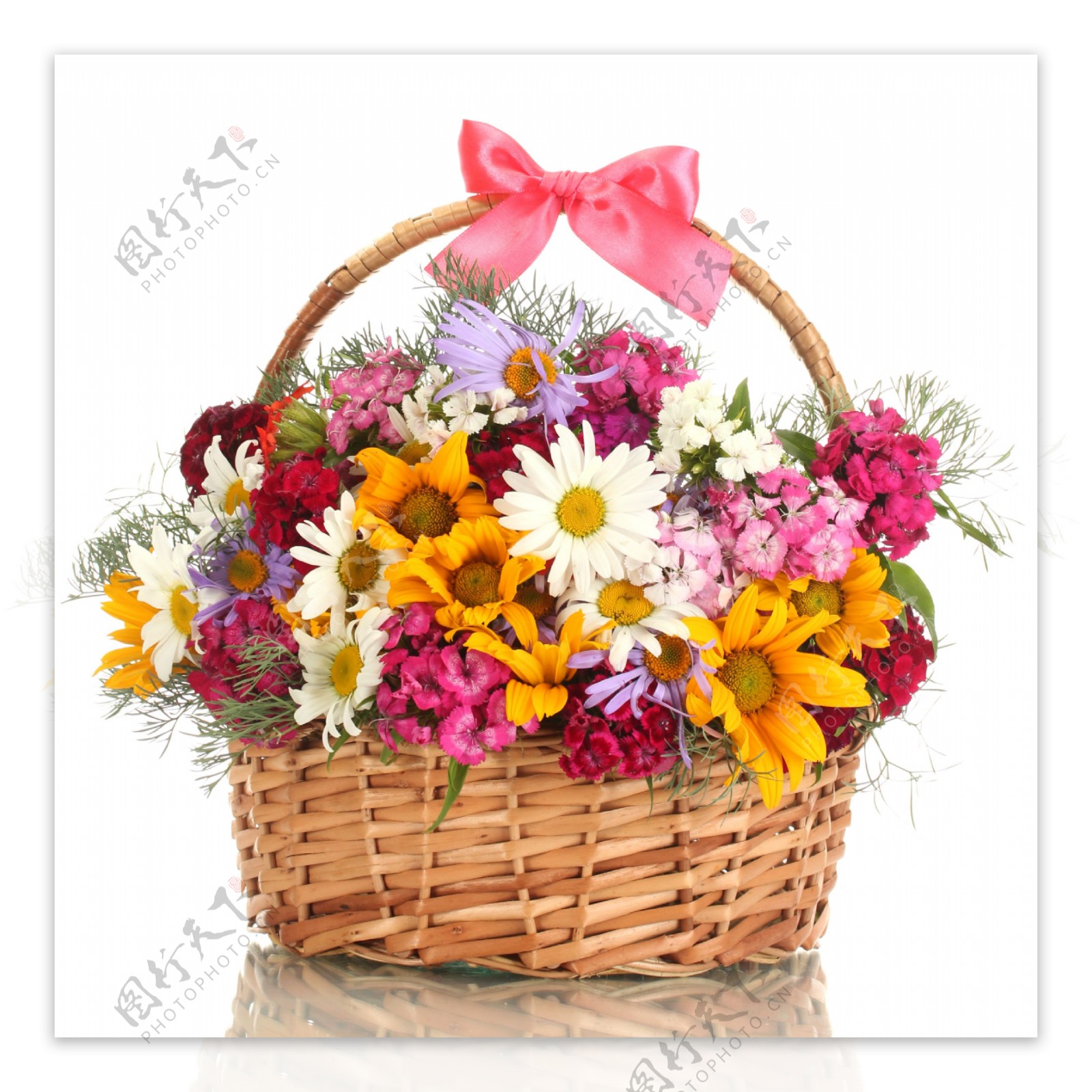 美丽的花篮与花朵图片