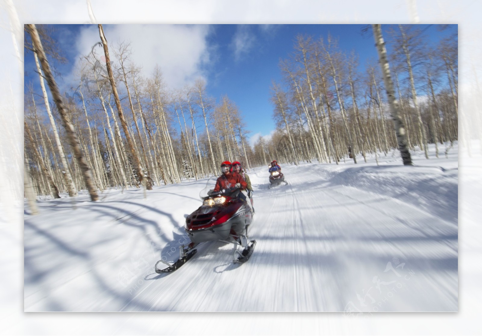 行驶在树林间的摩托雪橇图片