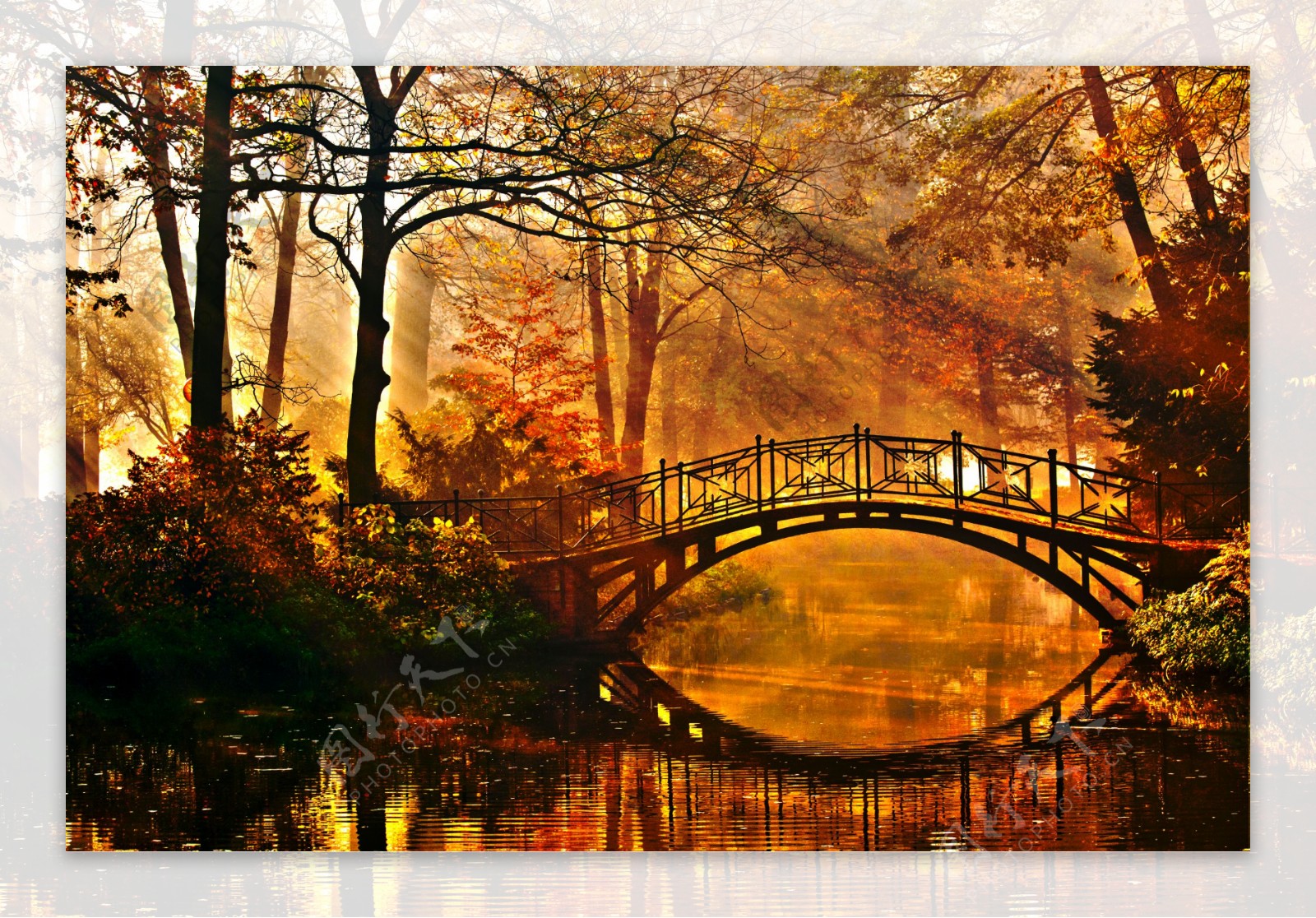 美丽林间小桥河流风景图片