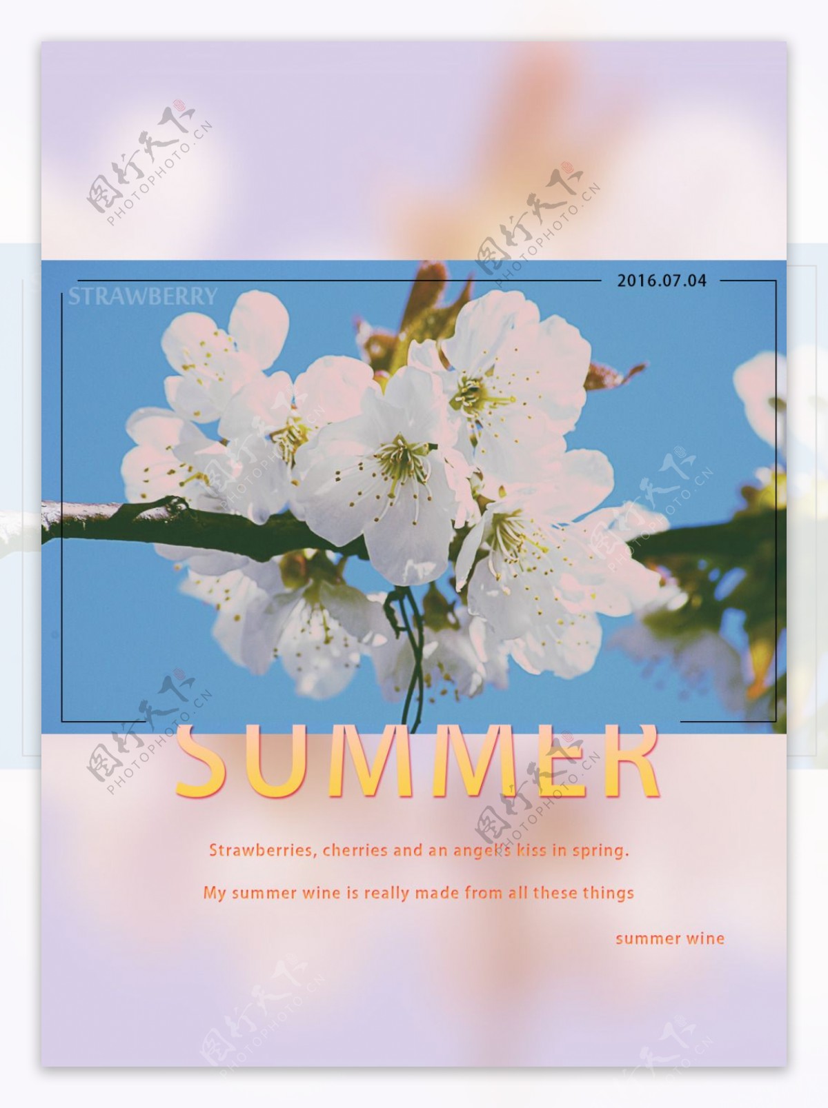 summer夏日风清新海报封面画册花朵