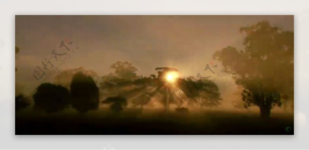 太阳光辉树影斑斓高清实拍视频素材