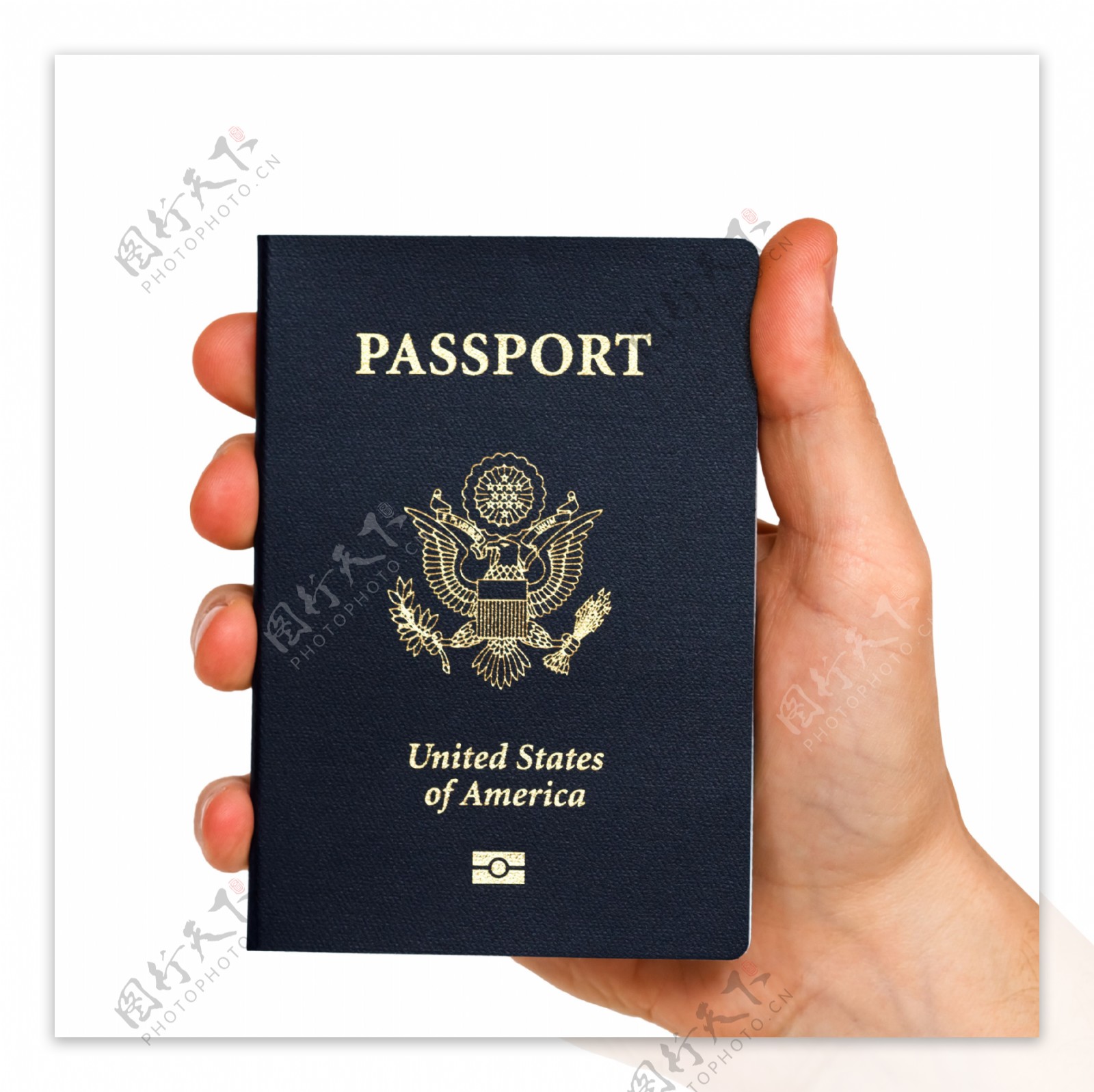 拿美国护照的手图片
