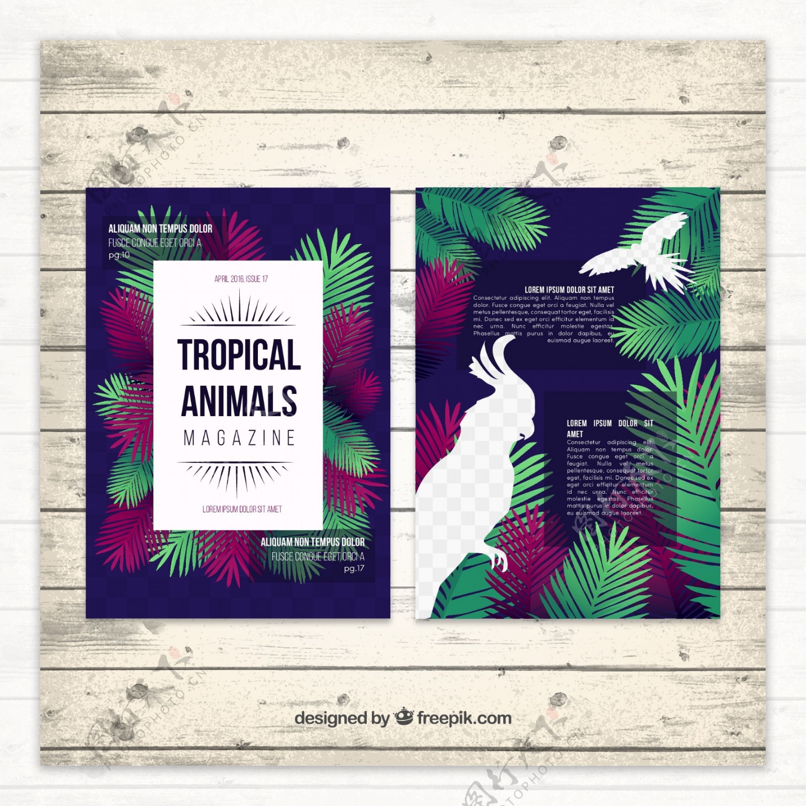 创意热带动物杂志内页矢量素材