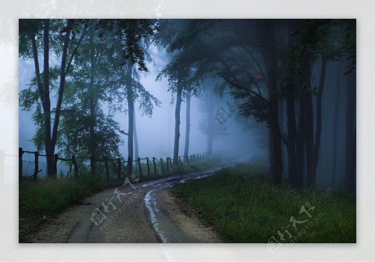 迷雾道路风景图片图片