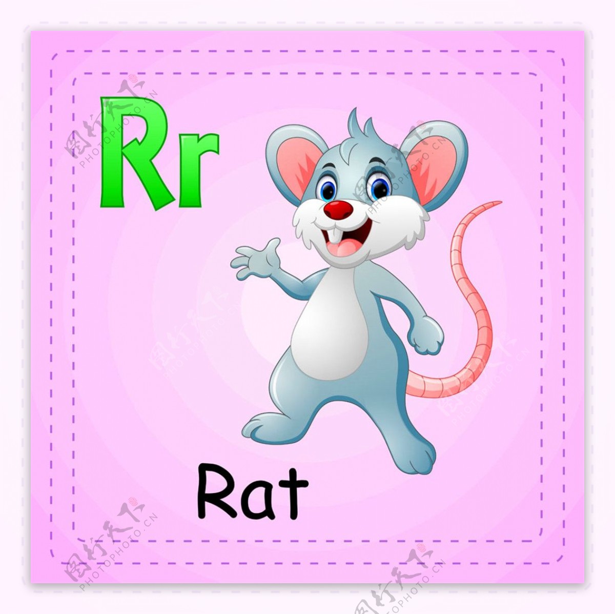 老鼠英文单词图片