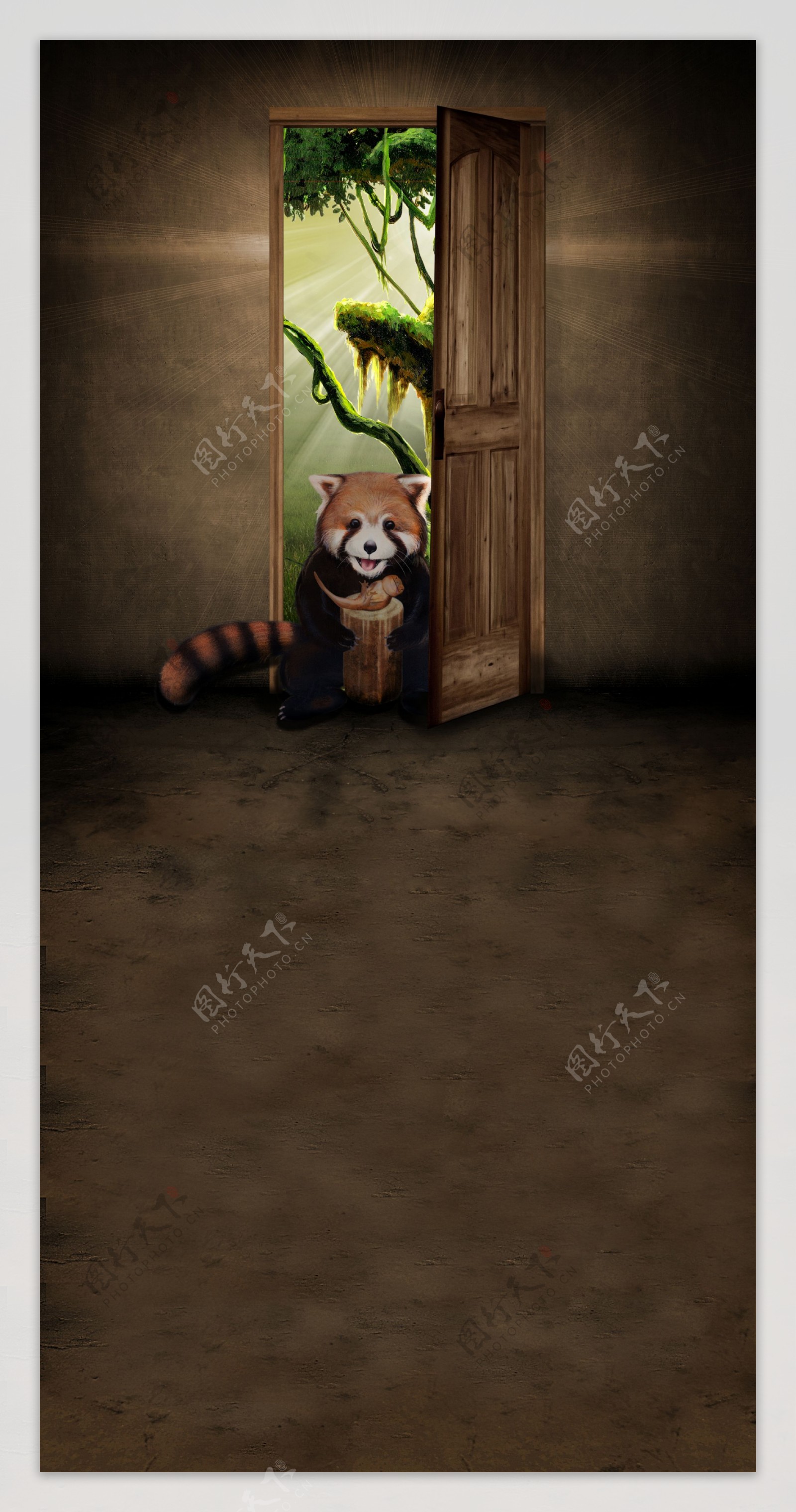推开门的可爱浣熊影楼摄影背景图片