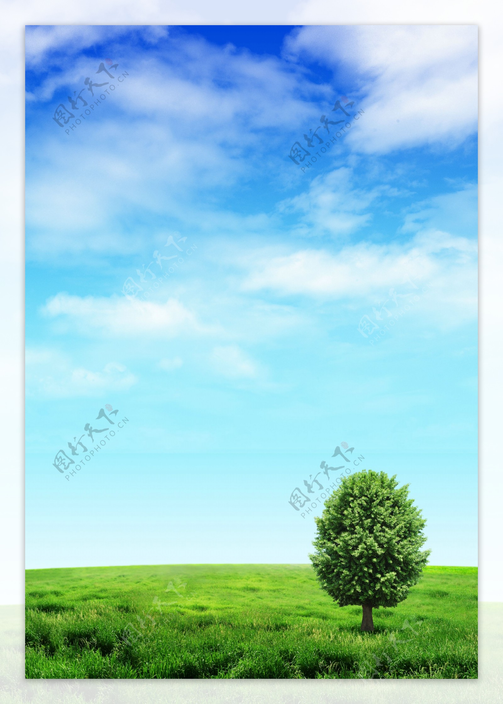 绿色草原与小树图片