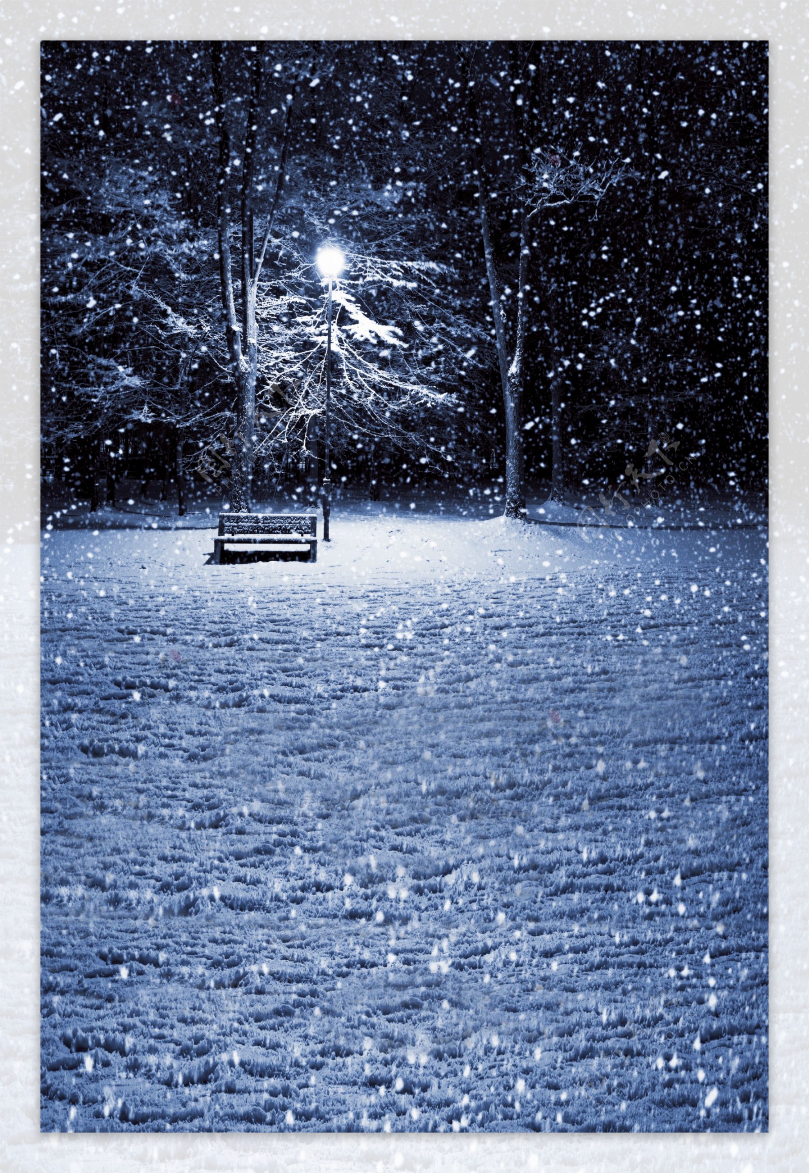 夜晚路灯下的长椅影楼摄影背景图片