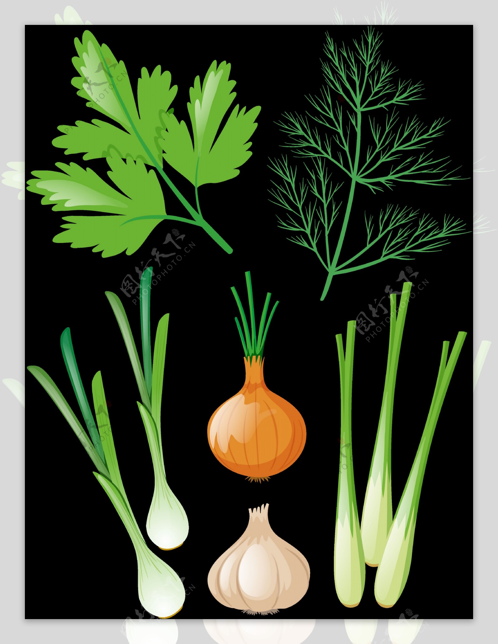 各种蔬菜免抠png透明图层素